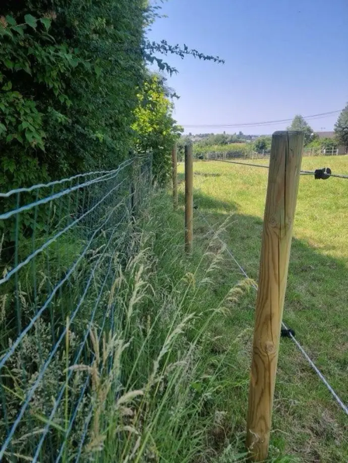 clotures pour animaux en wallonie