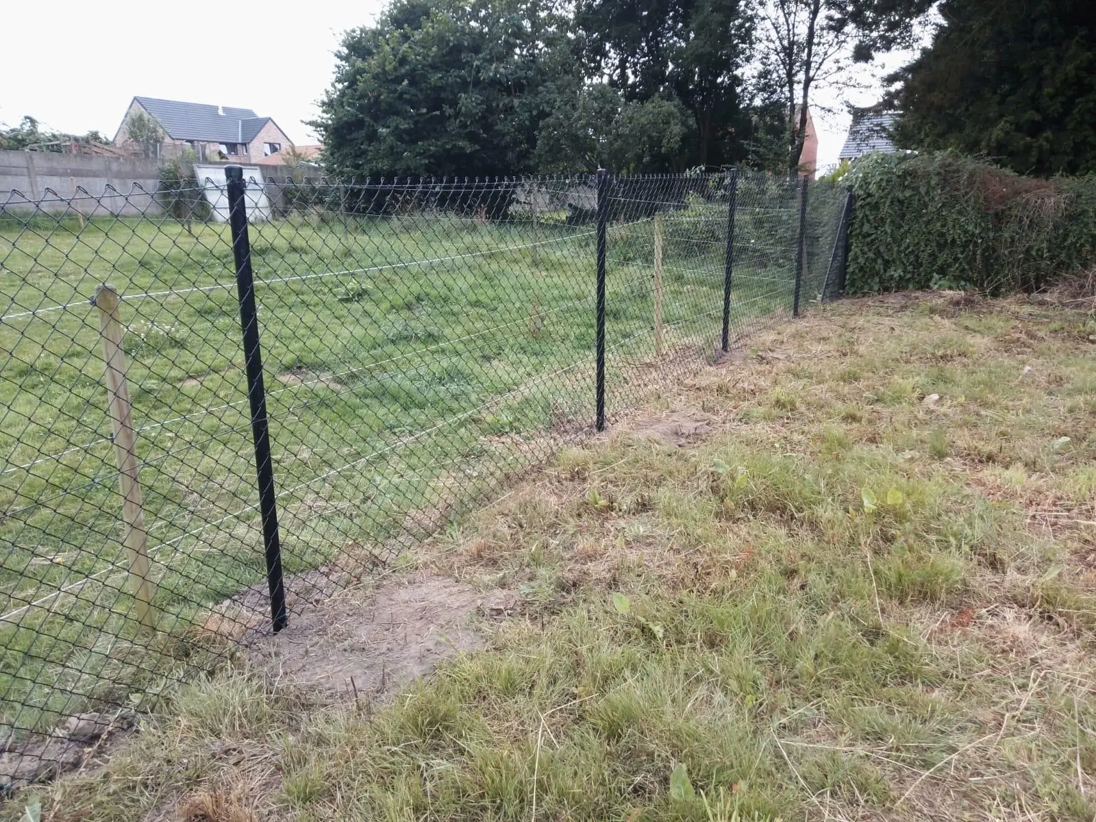 pose de clotures treillis en belgique
