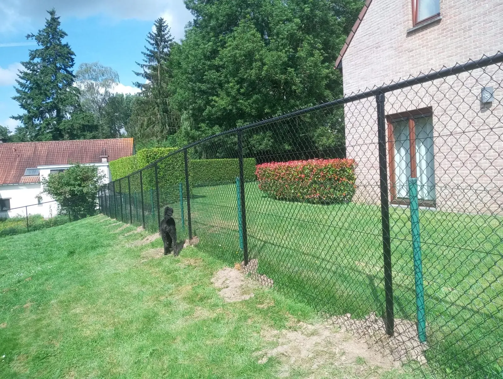 pose de clotures treillis en belgique