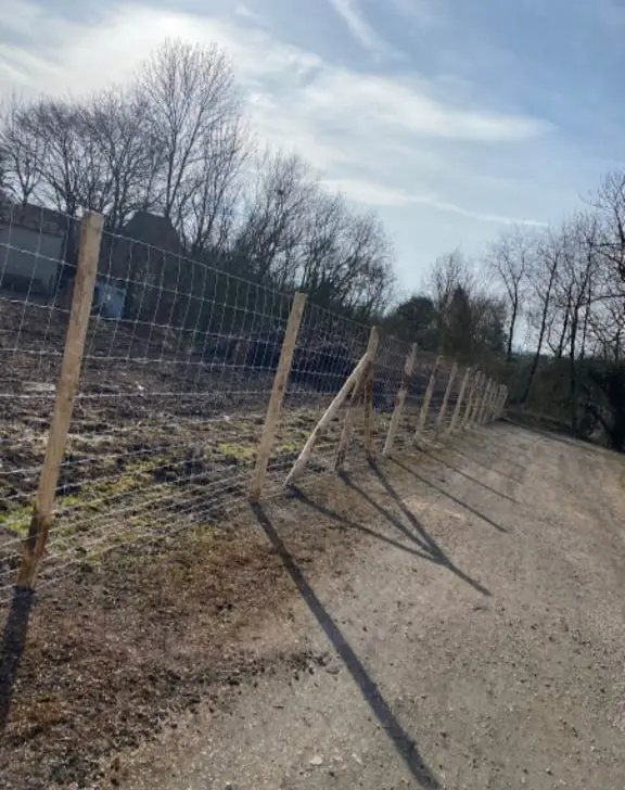 clotures pour animaux en wallonie